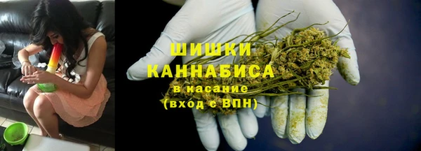 шишки Вязники